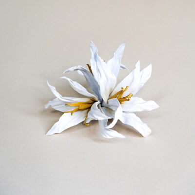 Lilly front No. 02.01. - "Lily"