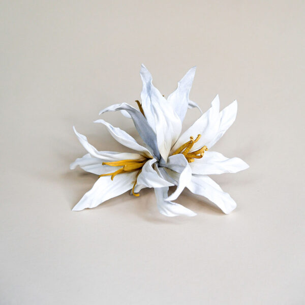 Lilly front No. 02.01. - "Lily"