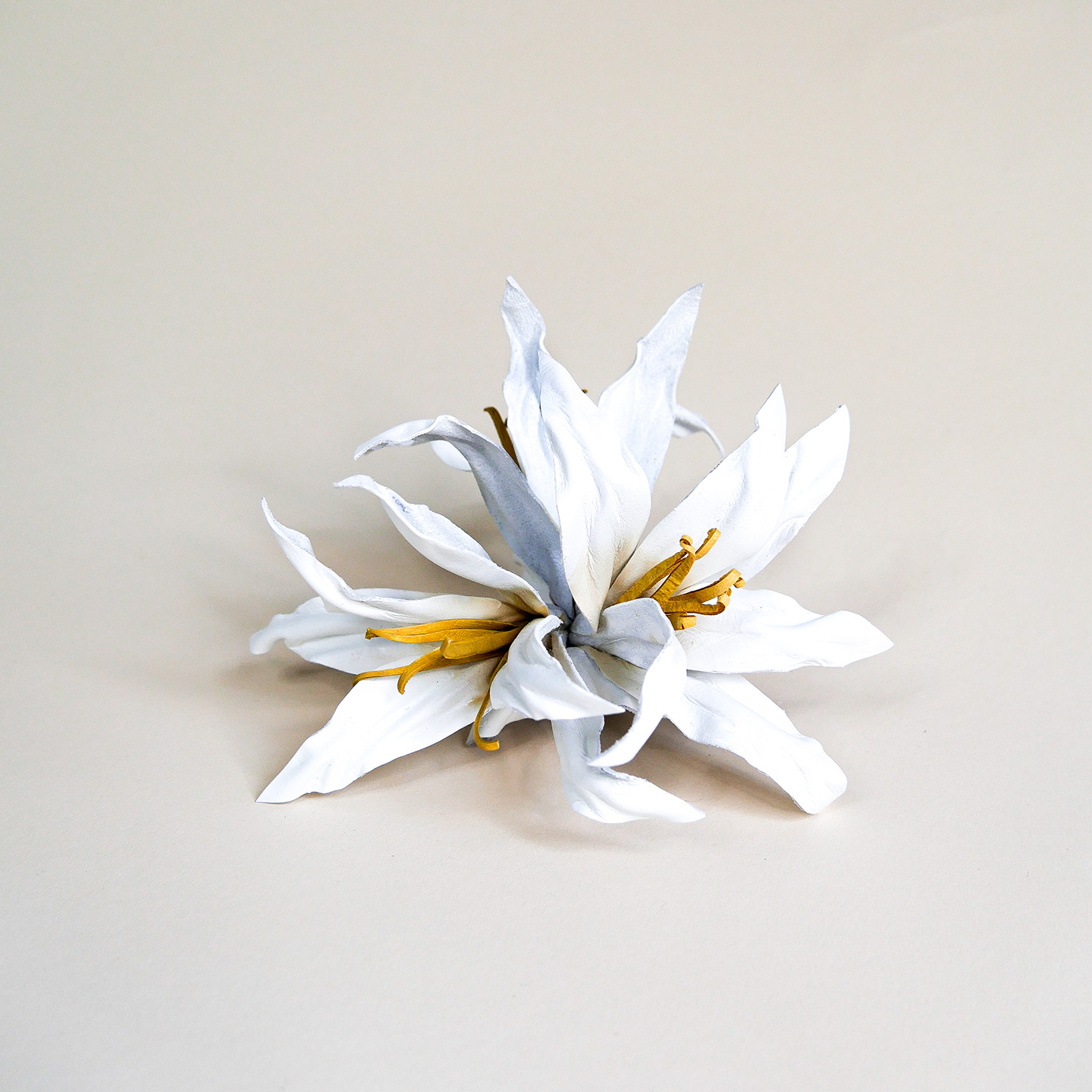 Lederblume Lilie weiß mit gelben Akzenten, Produktbild Frontansicht