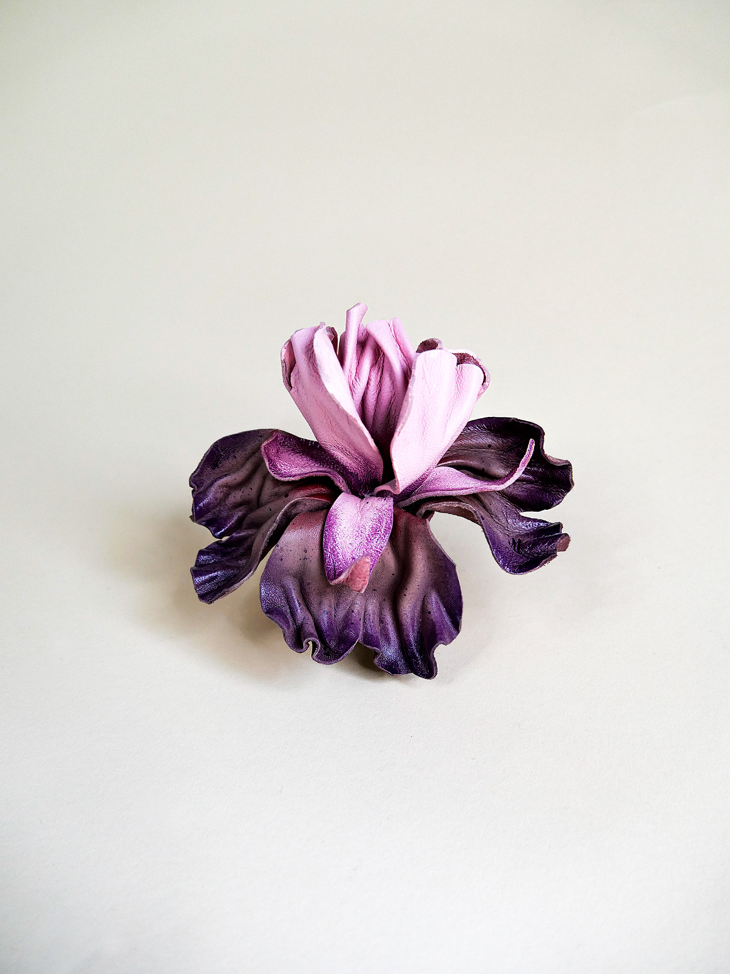 Lederblume Iris in farbverlauf von lila zu rosa, Produktbild Frontansicht