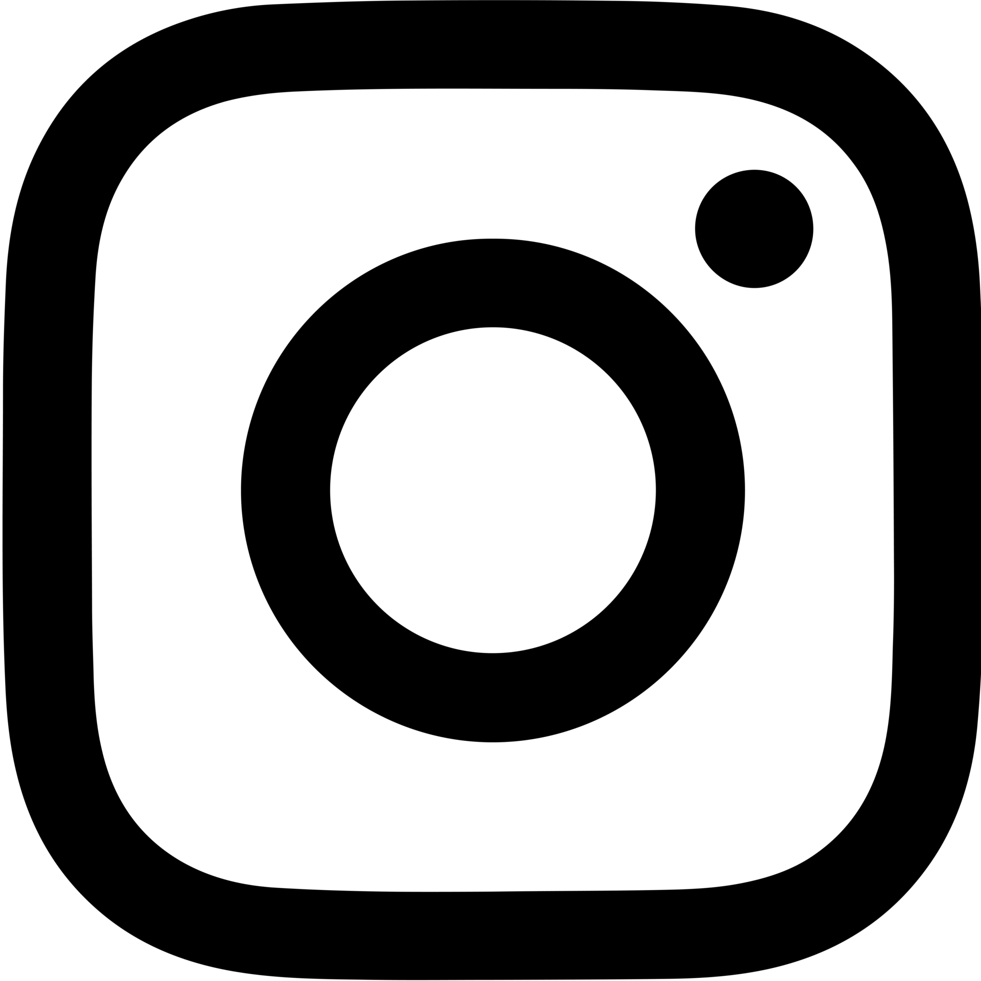 Instagram Logo button